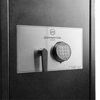 Dominator DS-4 Fire & Security Safe